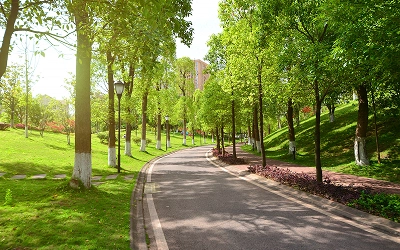 Blossom Hill